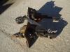 Macchinetta registro freni per Fiat Allis FL9 Foto 1 thumbnail