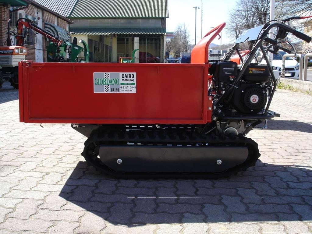 Gior 600 FORESTALE AGRICOLA - MOTORE ZANETTI Foto 3