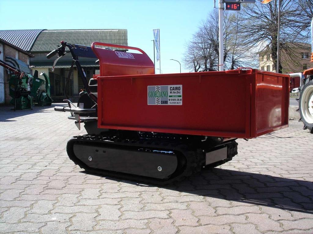Gior 600 FORESTALE AGRICOLA - MOTORE ZANETTI Foto 4