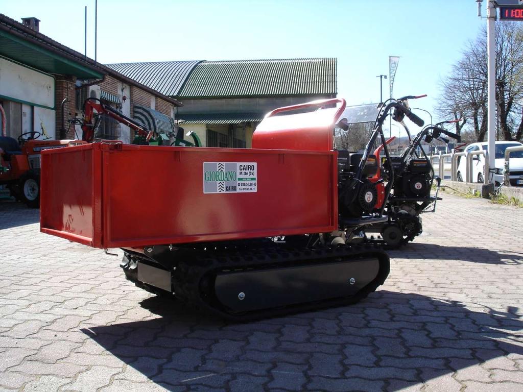 Gior 600 FORESTALE AGRICOLA - MOTORE ZANETTI Foto 5