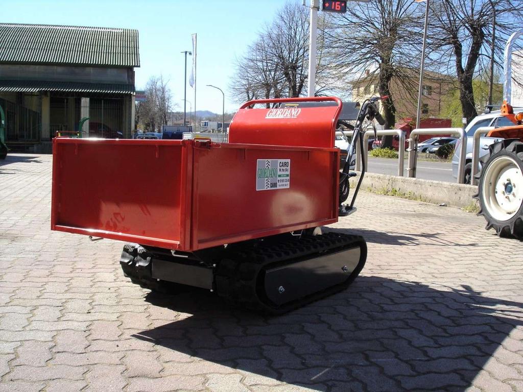Gior 600 FORESTALE AGRICOLA - MOTORE ZANETTI Foto 9
