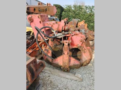 VTN Polipo Foto 1