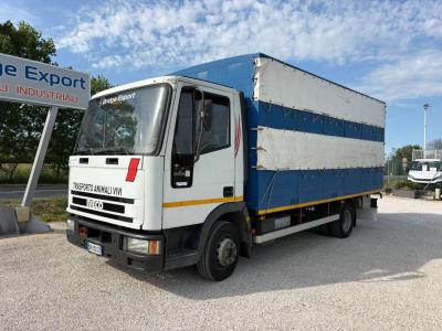 Iveco EUROCARGO 75E12 in vendita da Bridge Export Srl