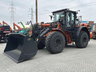 Hitachi ZW250-7 in vendita da Massucco T. Srl