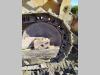 Caterpillar 951C Foto 15 thumbnail