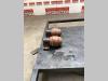 Rulli superiori per Hitachi Zx135 US-7 Foto 2 thumbnail