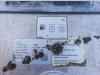 Man TGX 18.470 BLS - INTARDER Foto 25 thumbnail