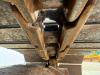 Kobelco SK135SRLC-1E - Extra High Cabin / Hammer Lines Foto 23 thumbnail
