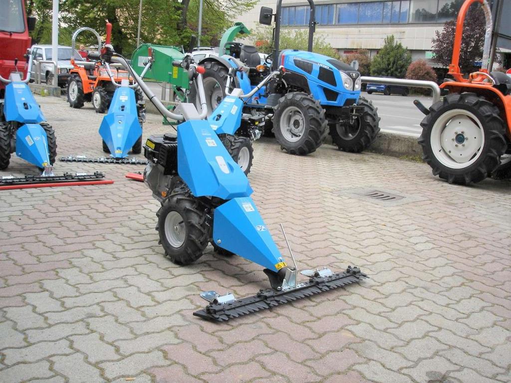 Bertolini 110 - MOTORE EMAK BENZINA Foto 1