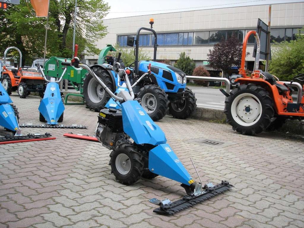 Bertolini 110 - MOTORE EMAK BENZINA Foto 11
