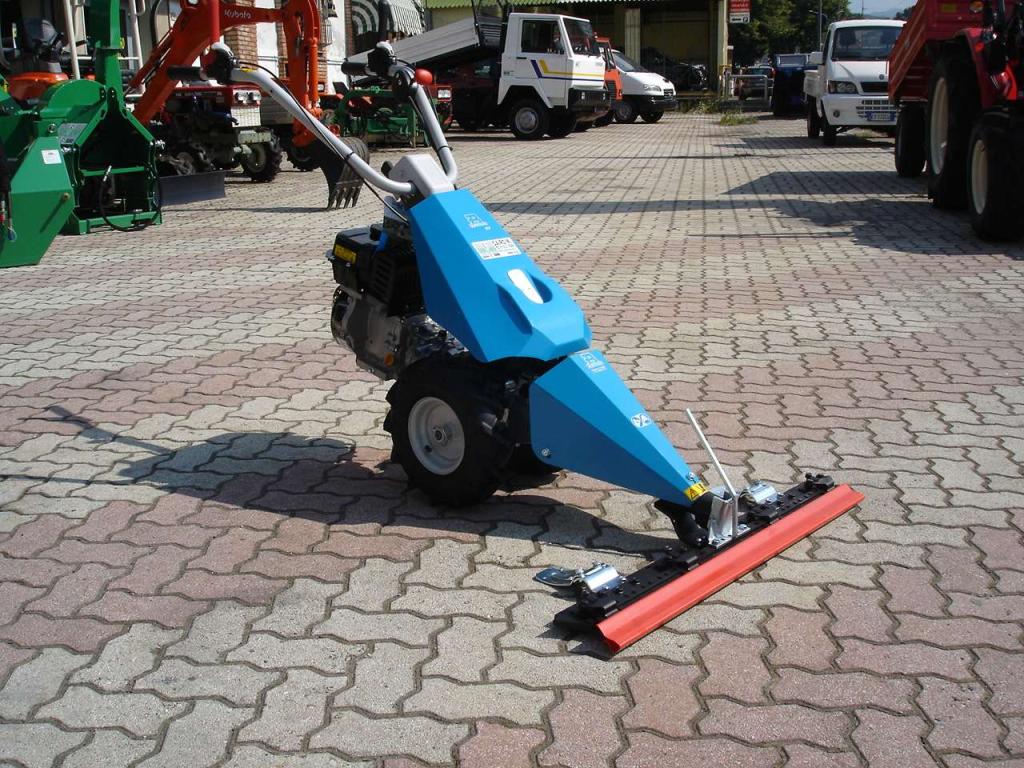 Bertolini 110 - MOTORE EMAK BENZINA Foto 13