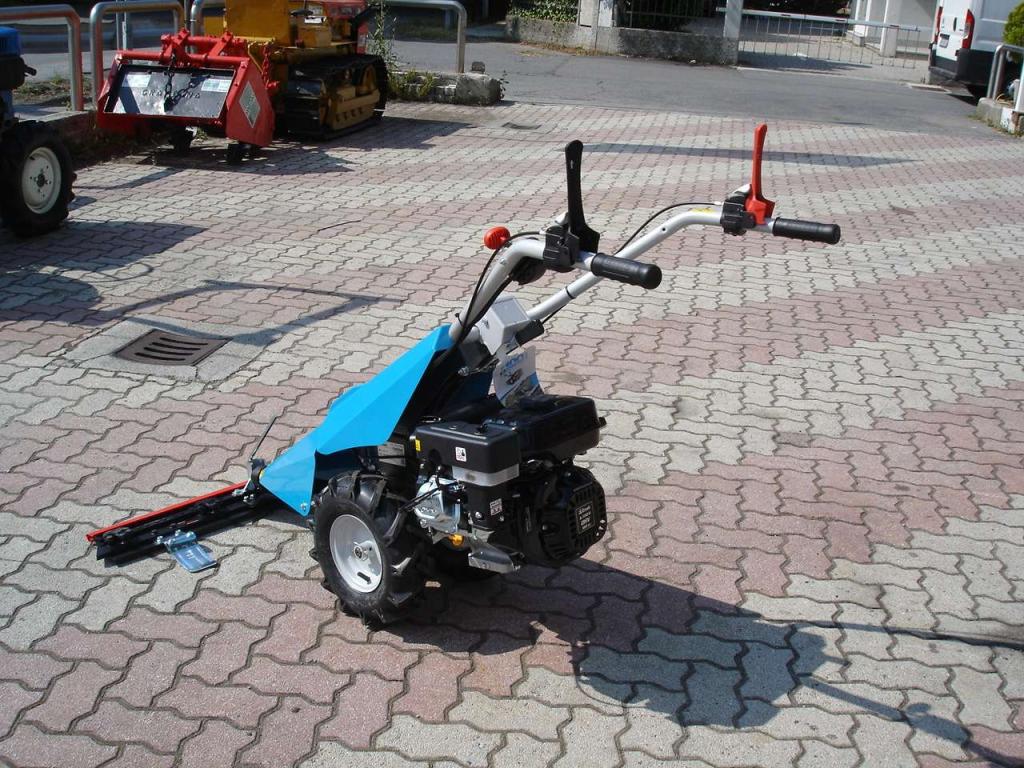 Bertolini 110 - MOTORE EMAK BENZINA Foto 17