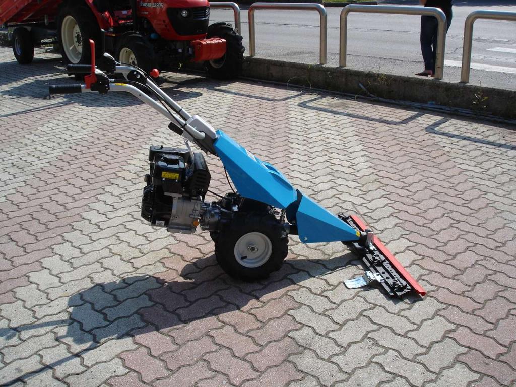 Bertolini 110 - MOTORE EMAK BENZINA Foto 20
