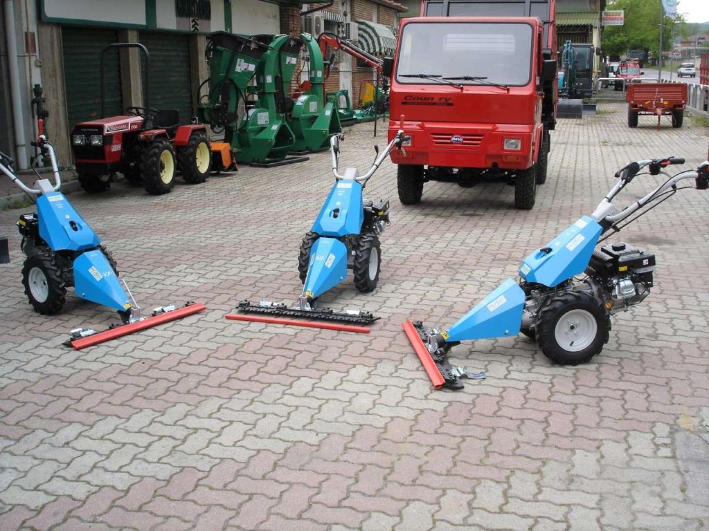 Bertolini 110 - MOTORE EMAK BENZINA Foto 21