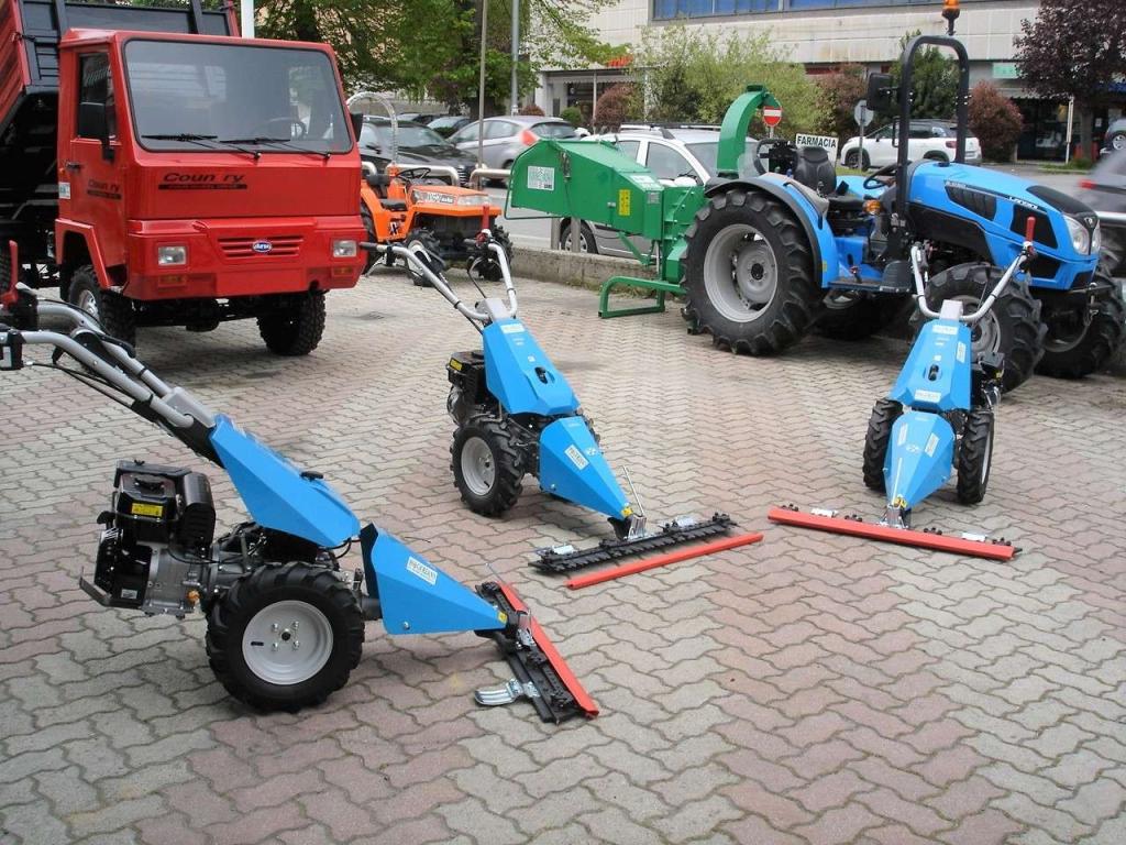 Bertolini 110 - MOTORE EMAK BENZINA Foto 22
