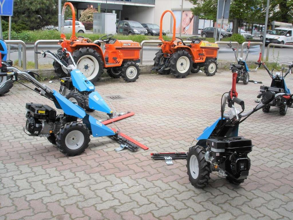 Bertolini 110 - MOTORE EMAK BENZINA Foto 23