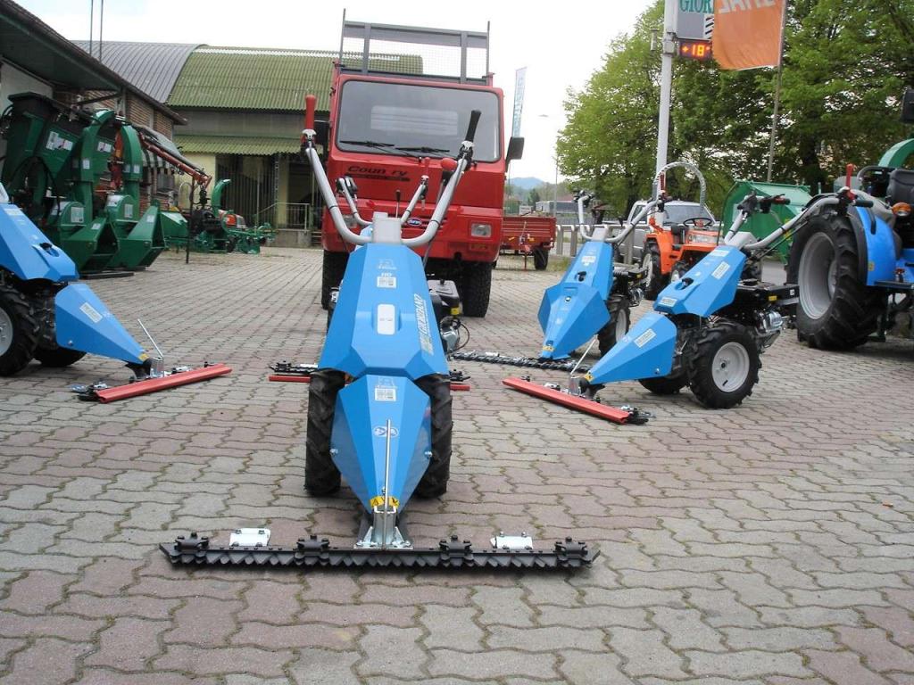 Bertolini 110 - MOTORE EMAK BENZINA Foto 3