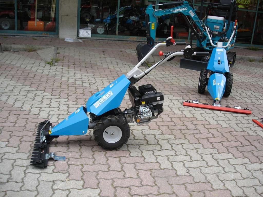 Bertolini 110 - MOTORE EMAK BENZINA Foto 5