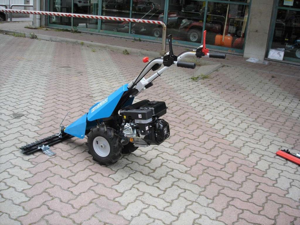 Bertolini 110 - MOTORE EMAK BENZINA Foto 6