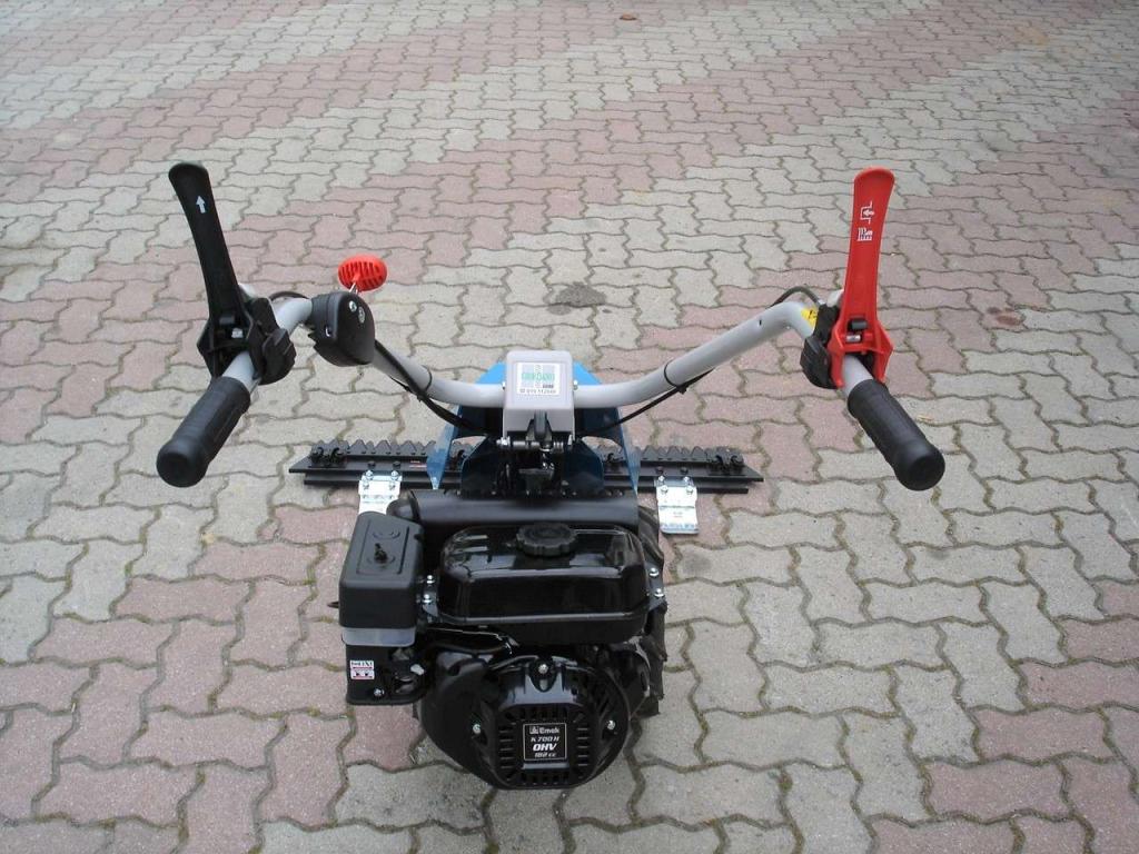 Bertolini 110 - MOTORE EMAK BENZINA Foto 7
