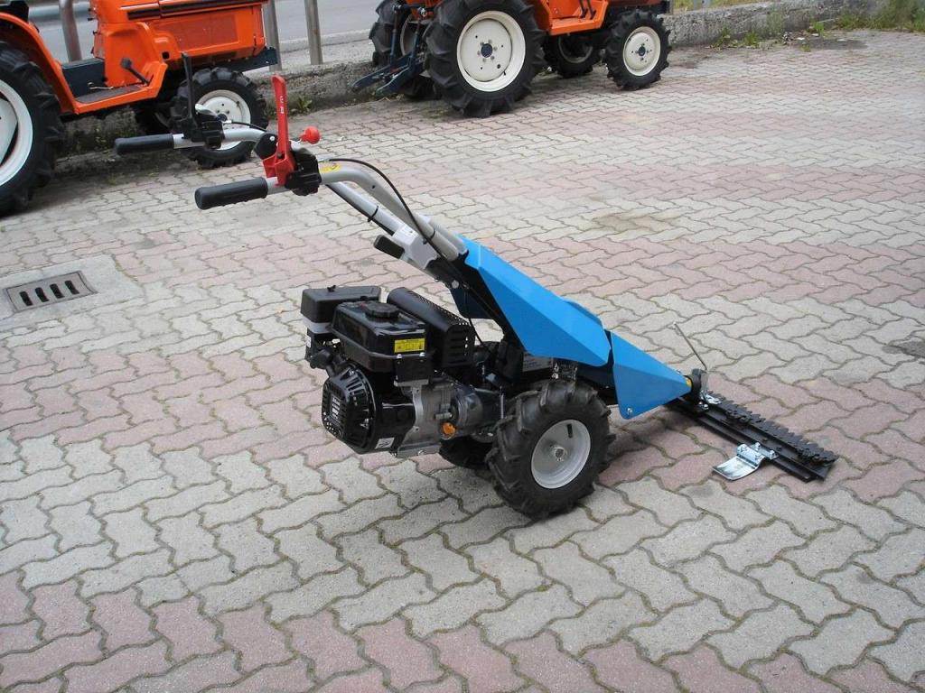 Bertolini 110 - MOTORE EMAK BENZINA Foto 8