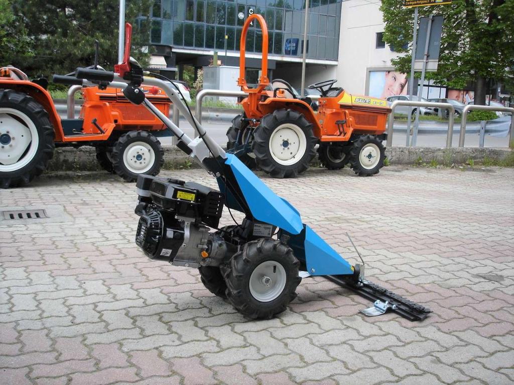 Bertolini 110 - MOTORE EMAK BENZINA Foto 9