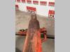 Pistone di penetrazione per PMI 450 Foto 3 thumbnail