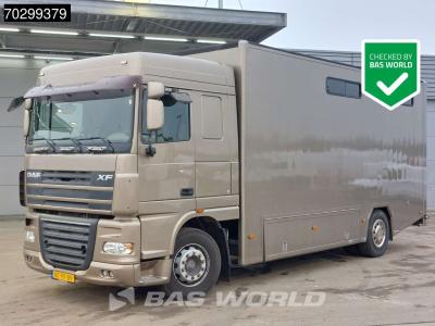 Daf XF105.410 XF 4X2 NL-Truck JK Horsetruck 6 Horses Pferdentransport Manual Euro 5 in vendita da BAS World B.V.