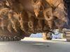 Wirtgen W100 CFI Foto 27 thumbnail