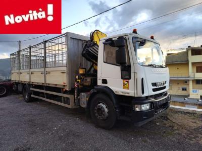 Iveco EUROCARGO 180E25 in vendita da Procida Macchine S.r.l.