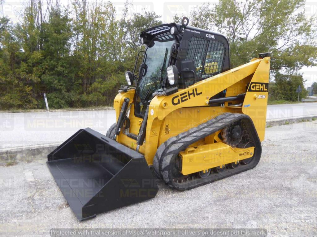 Gehl RT165 HF Foto 2