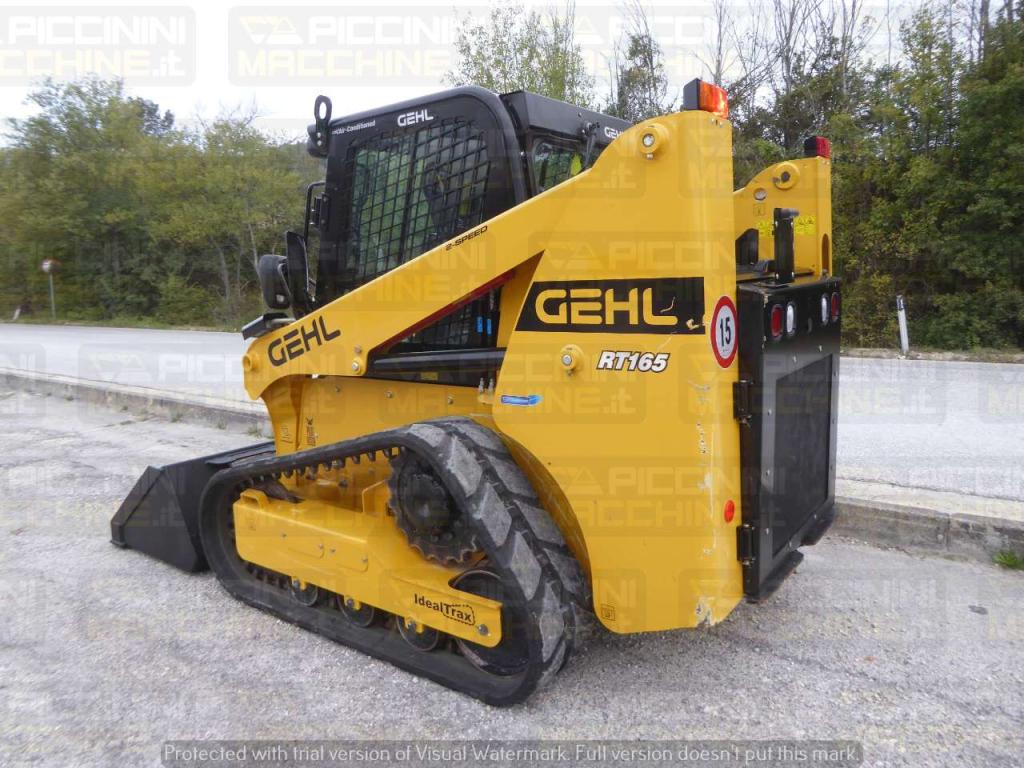 Gehl RT165 HF Foto 3