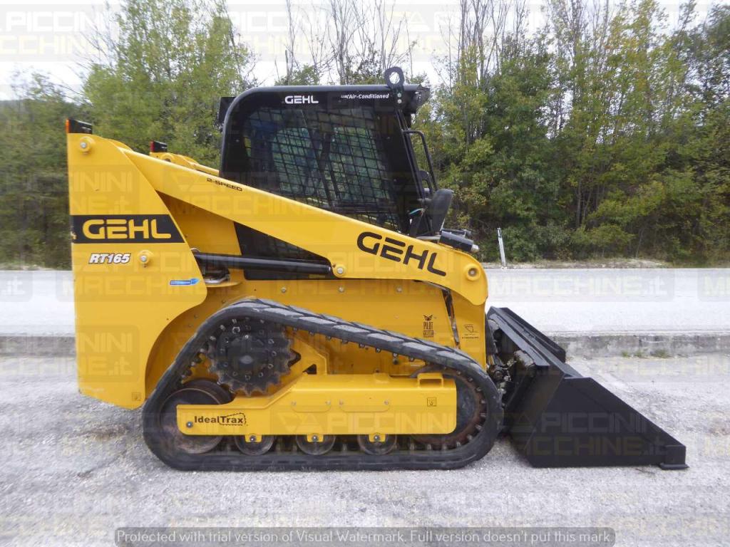 Gehl RT165 HF Foto 6