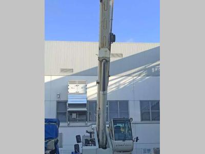 Terex A450
