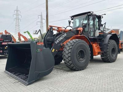 Hitachi ZW310-7 in vendita da Massucco T. Srl