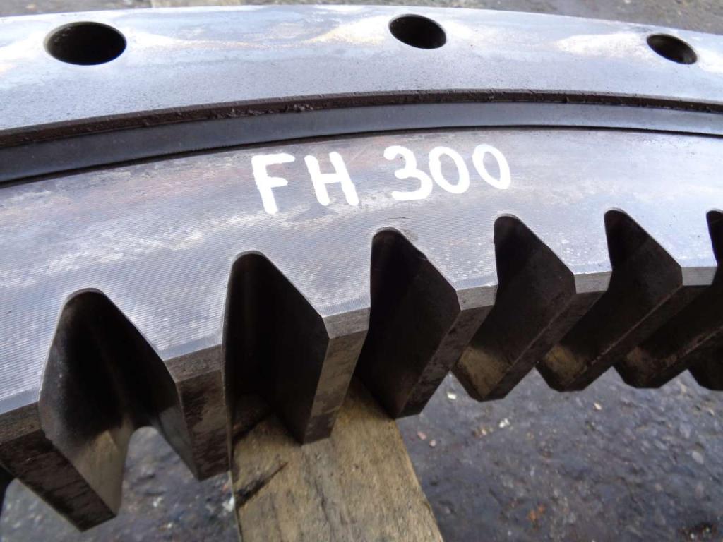 Ralla per Fiat Hitachi Fh 300 Foto 2