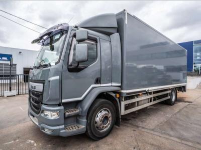 Daf LF 55.220(19 T-E6 )+DHOLLANDIA 2TON in vendita da Braem NV