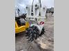 Simex TF1000 Foto 1 thumbnail
