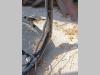 JCB 18Z Foto 4 thumbnail