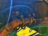 Fiat Hitachi FH200 Foto 11 thumbnail