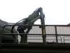 Mercedes-Benz 1017 4X4 ex army reconditioned white with crane Foto 9 thumbnail
