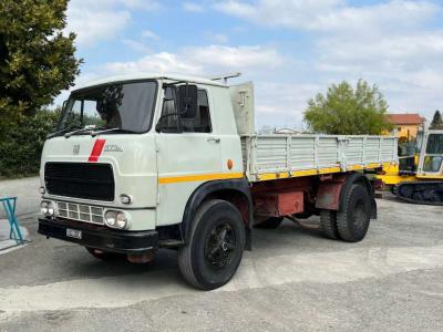 Fiat 673N 4X2 Vintage in vendita da Massucco T. Srl