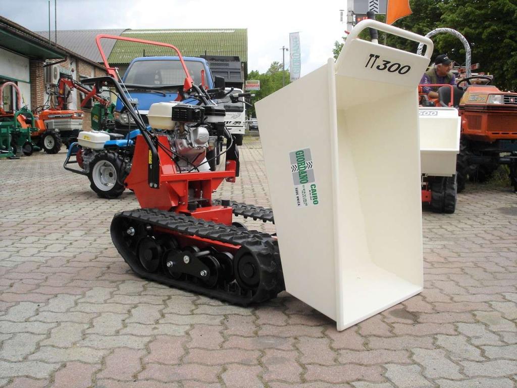 Tekna TT 300 DUMPER - MOTORE HONDA Foto 1