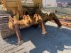 Fiat Allis FD 14 Foto 5 thumbnail