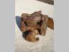 Giunto trasmissione per Fiat Allis FL20 - FD20 Foto 2 thumbnail