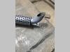 Collettore scarico Foto 3 thumbnail