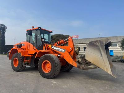 Doosan DL 250-3 in vendita da Commerciale Adriatica MMT. Srl