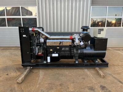 Giga Power LT-W250GF 312.5 kVA Open generator in vendita da Big Machinery