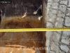 Wacker Neuson ET90 ET90 A/C Foto 18 thumbnail