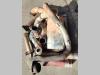 Marmitta per Caterpillar 730 Foto 2 thumbnail